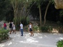 Gruppo a Siracusa 2 * 2272 x 1704 * (2.34MB)