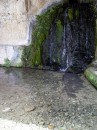 La sorgente 1 * 960 x 1280 * (1.26MB)